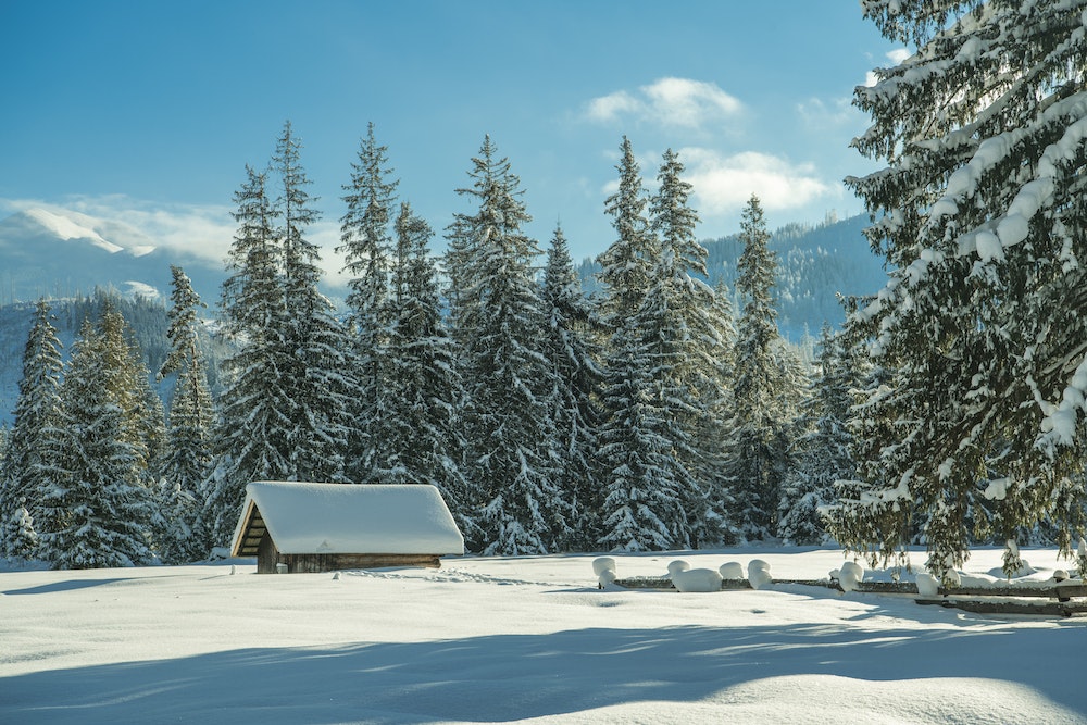 Le Chalet de Montagne : Un Refuge d'Exception entre Tradition et Modernité